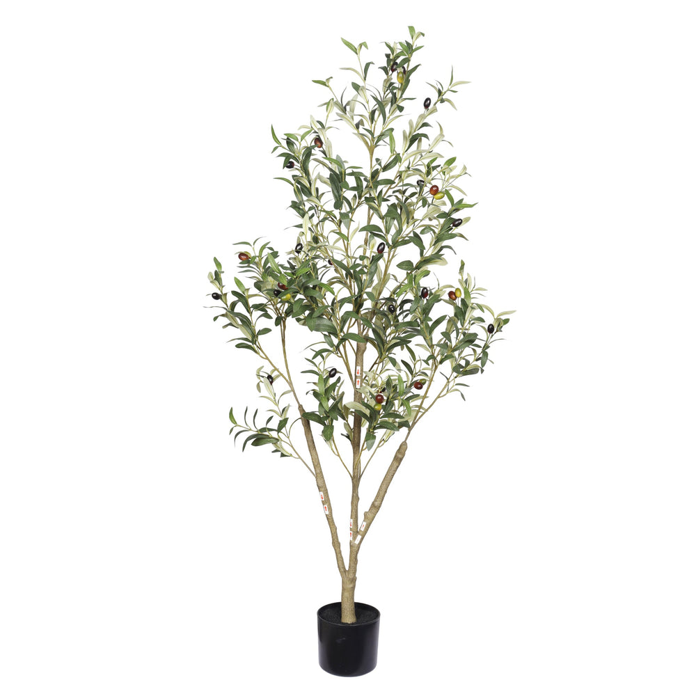 5' Artificial  Olive Tree in Black Plastic Pot, 1pc/set Media 4