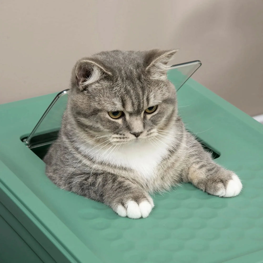 Cat Litter Box Green Polypropylene Fully Enclosed Hooded Front Entry With Scoop Media 7