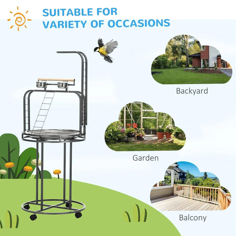 Parrot Stand Steel Large With 3 Ladders & Toy Hook For Easy Grip Home Media 4