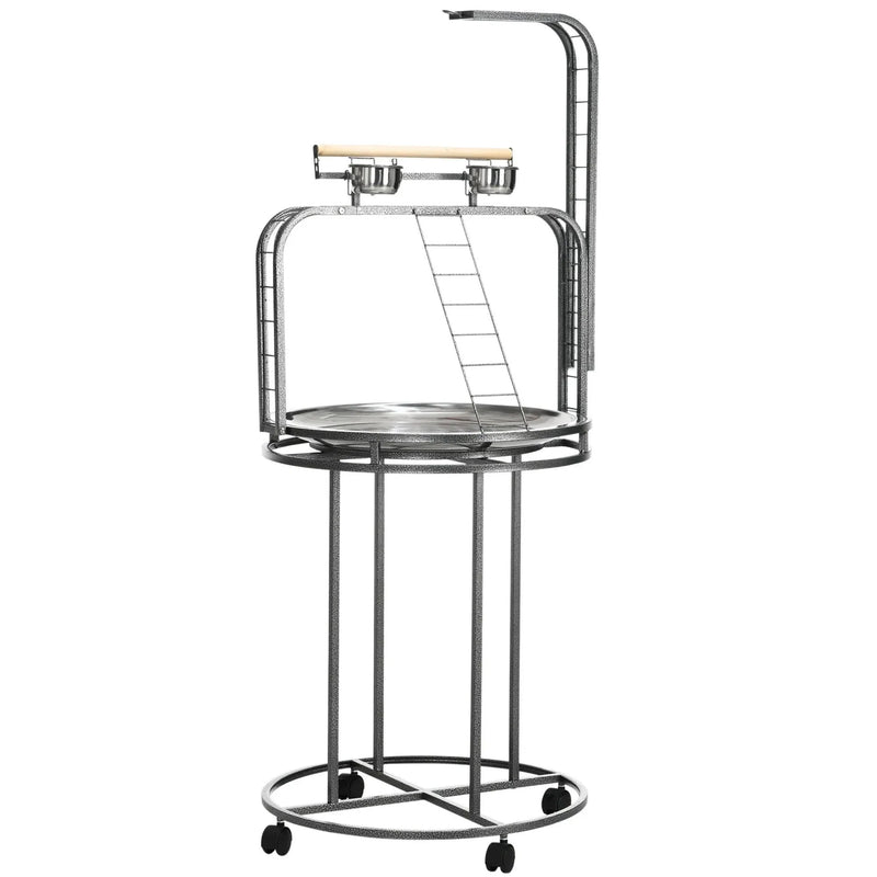 Parrot Stand Steel Large With 3 Ladders & Toy Hook For Easy Grip Home