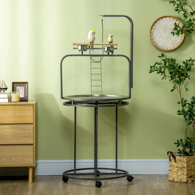 Parrot Stand Steel Large With 3 Ladders & Toy Hook For Easy Grip Home