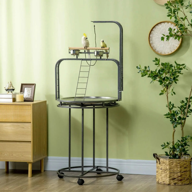 Parrot Stand Steel Large With 3 Ladders & Toy Hook For Easy Grip Home