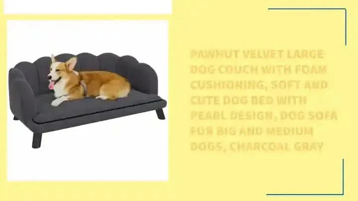 Velvet Dog Sofa & Foam Cushioning & For Large & Medium Dogs In Charcoal Gray
