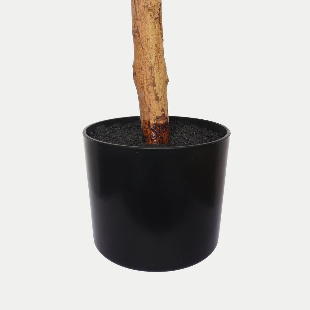 6FT Artificial Ficus Tree with Natural Trunk in Black Plastic Pot for Indoor Home Office Decor, 1pc/set Media 6