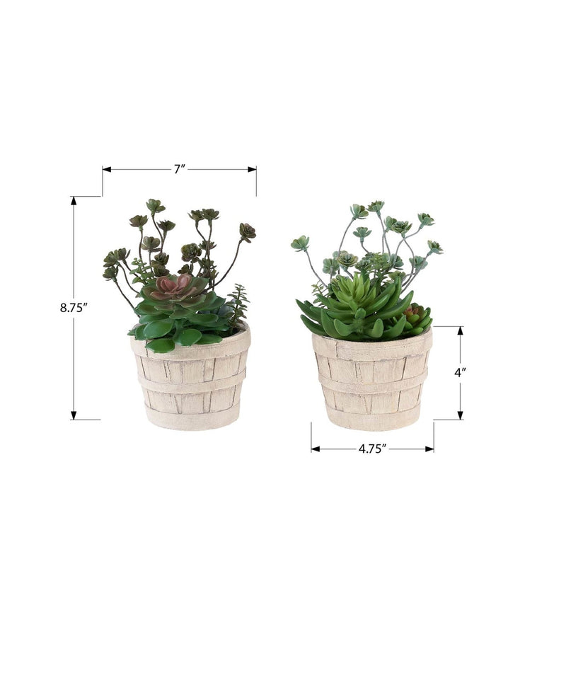 Artificial Plant, Set Of 2, 9' Tall, Succulent, Table, Beige Cement Pots, Contemporary, Modern