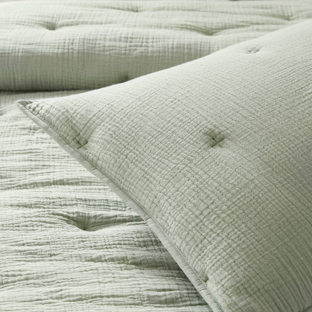 3-Piece King Cotton  Embroidered Quilt Set,Sage Media 15