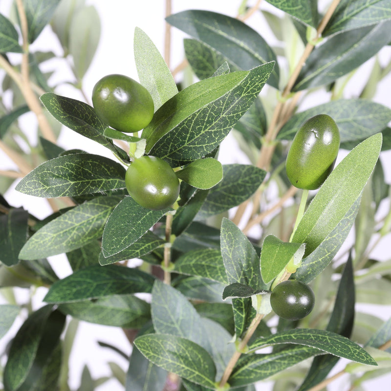 6FT Artificial Olive Tree in Black Plastic Pot, 1pc/set