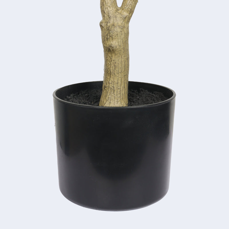 5' Artificial  Olive Tree in Black Plastic Pot, 1pc/set