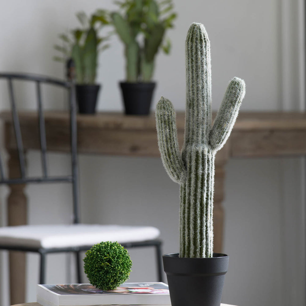 8x5x24.5'H Artificial Saguaro Cactus in Black Pot Media 5