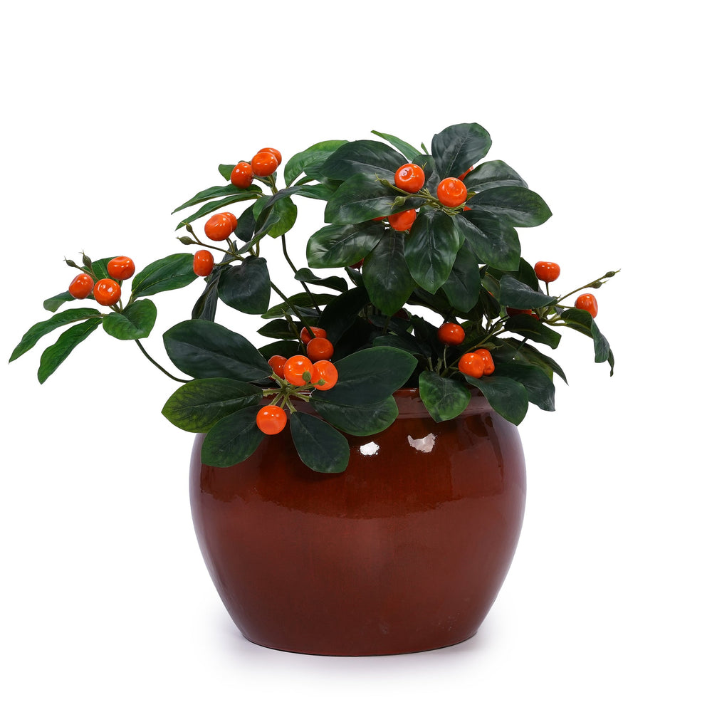 3 Pieces Ceramic Flowerpot, Modern Planter for Patio, Garden or Windowsills - Orange Media 6