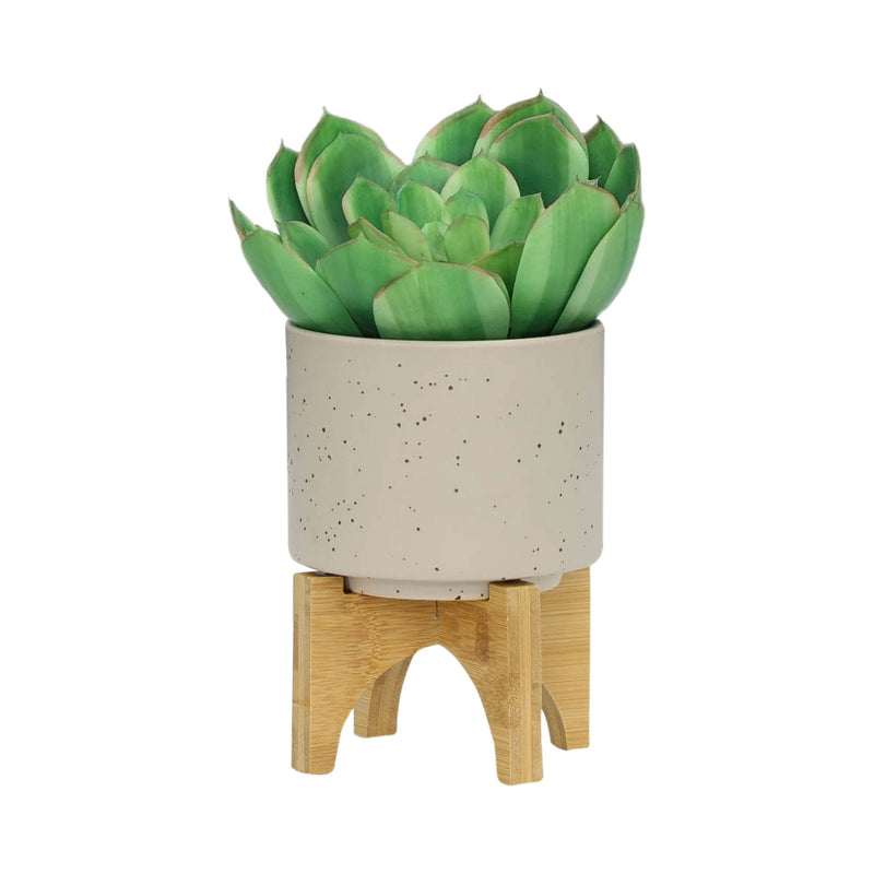 S/2 5/8' PLANTER W/ WOOD STAND, MATTE BEIGE