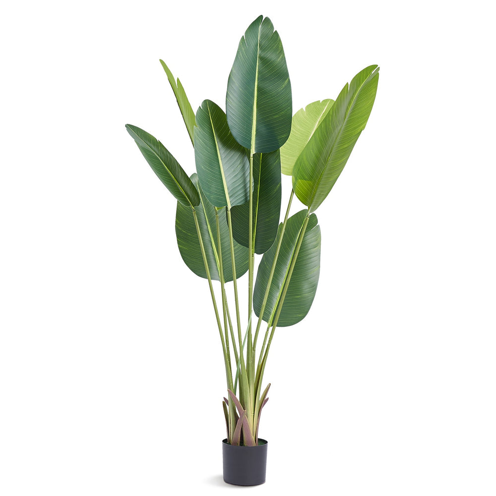 Artificial Birds Of Paradise Tree, 5 FT Tall Faux Plant, PE Material & Anti-Tip Tilt Protection Low-Maintenance Plant, Lifelike Green Fake Tree for Home Office Warehouse Decor Indoor Outdoor Media 6