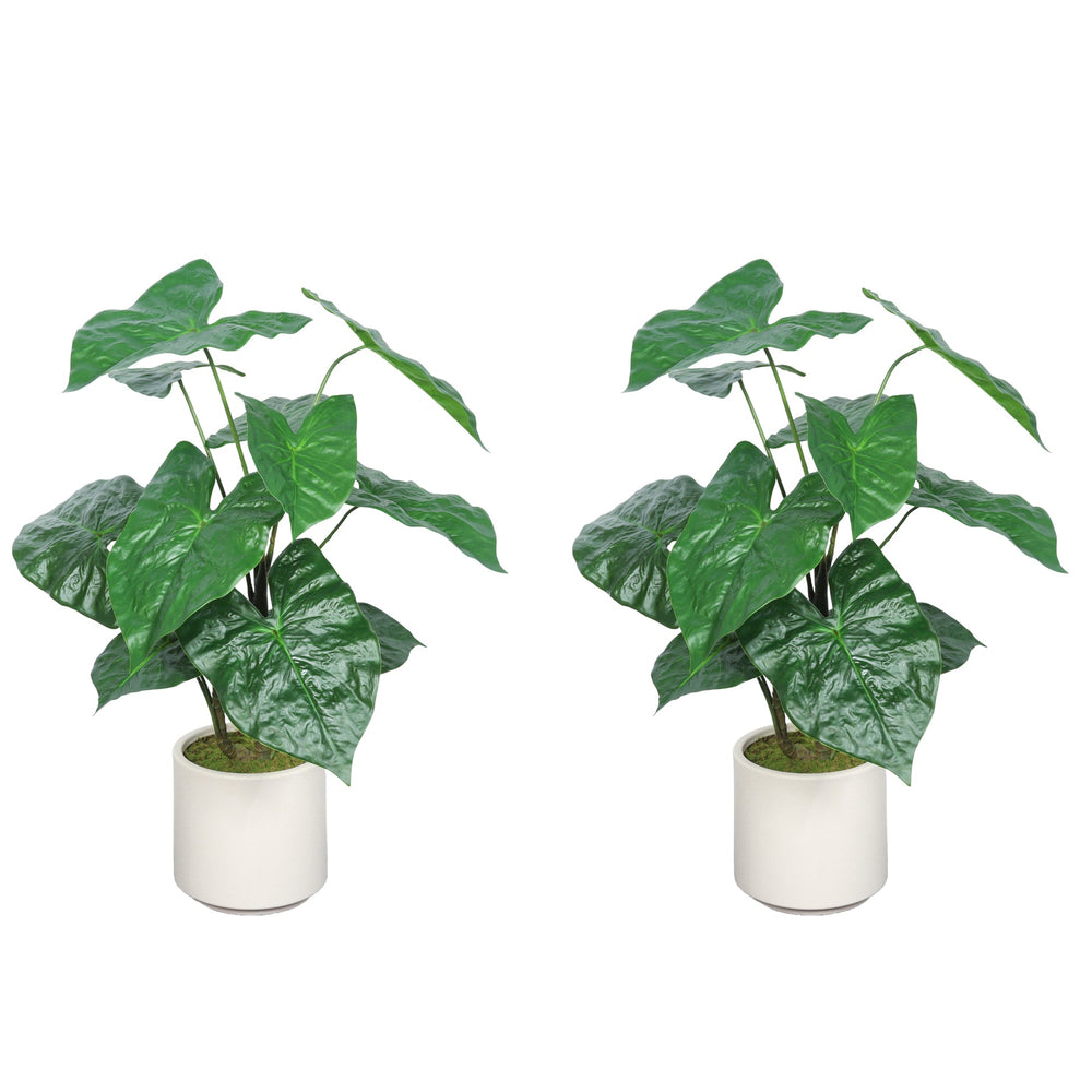 30'' Artificial Tropical Alocasia Leaf Plant With White Pot 2pc/set Media 4
