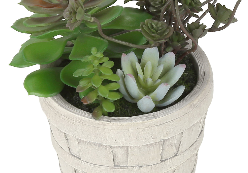 Artificial Plant, Set Of 2, 9' Tall, Succulent, Table, Beige Cement Pots, Contemporary, Modern Media 5