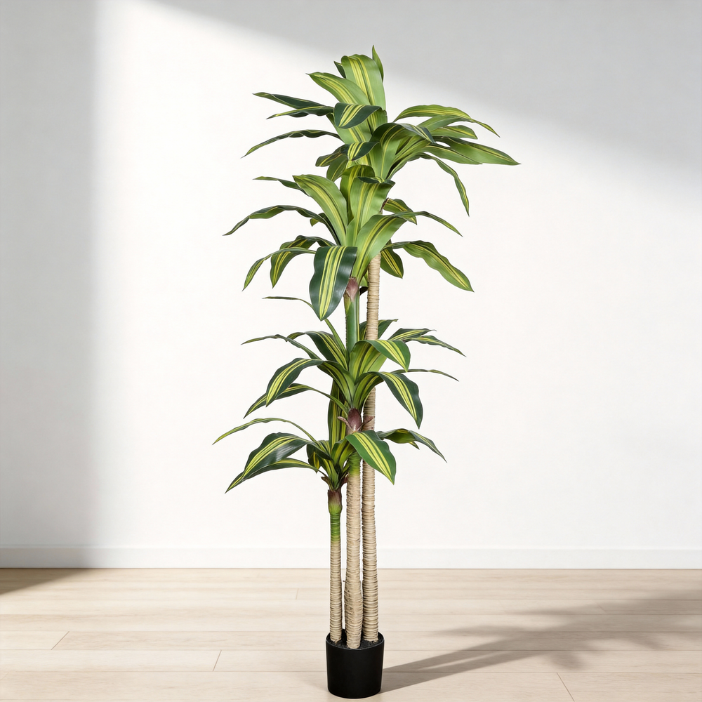 6' Artificial Dracaena Tree with Black Plastic Pot Media 3