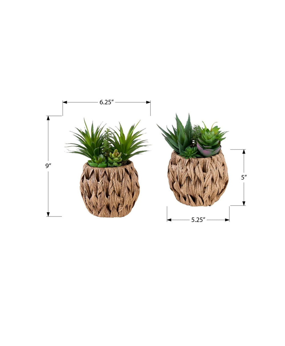 Artificial Plant, Set Of 2, 9' Tall, Succulent, Table, Brown Woven Basket, Contemporary, Modern Media 7