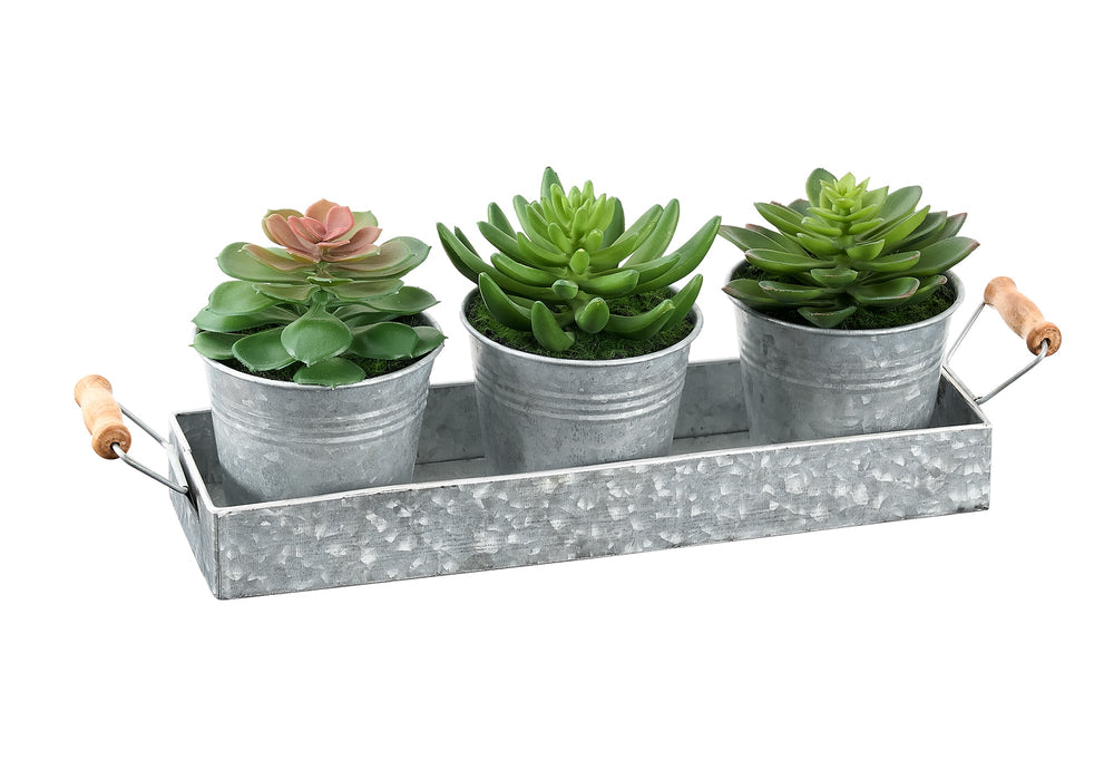 Artificial Plant, Set Of 3, 6' Tall, Succulent, Table, Silver Metal Pots, Contemporary, Modern Media 2