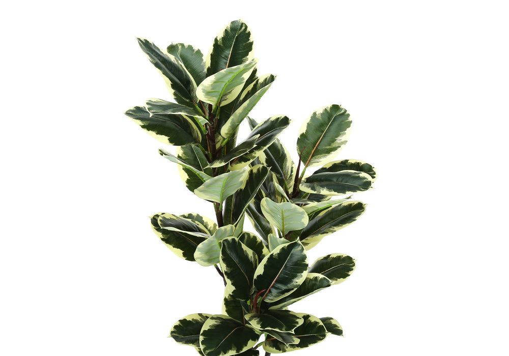 Artificial Plant, 47' Tall, Oak Tree, Indoor, Faux, Fake, Floor, Greenery, Potted, Real Touch, Decorative, Green Leaves, Black Pot Media 5