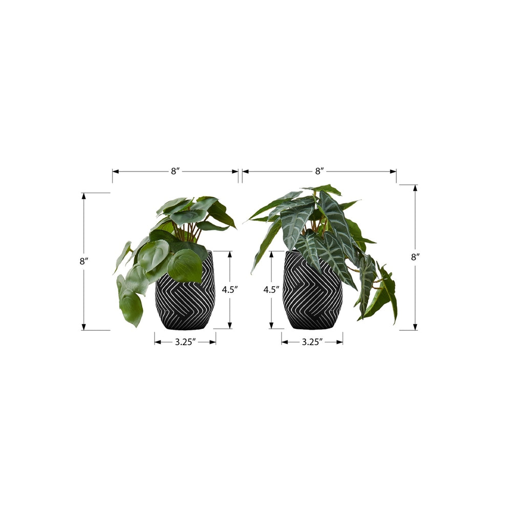 Artificial Alocasia Plant Set of 2, 8' Tall, Green Faux Indoor Decor with Black Cement Pots, Realistic Leaves, Tabletop Greenery Media 3