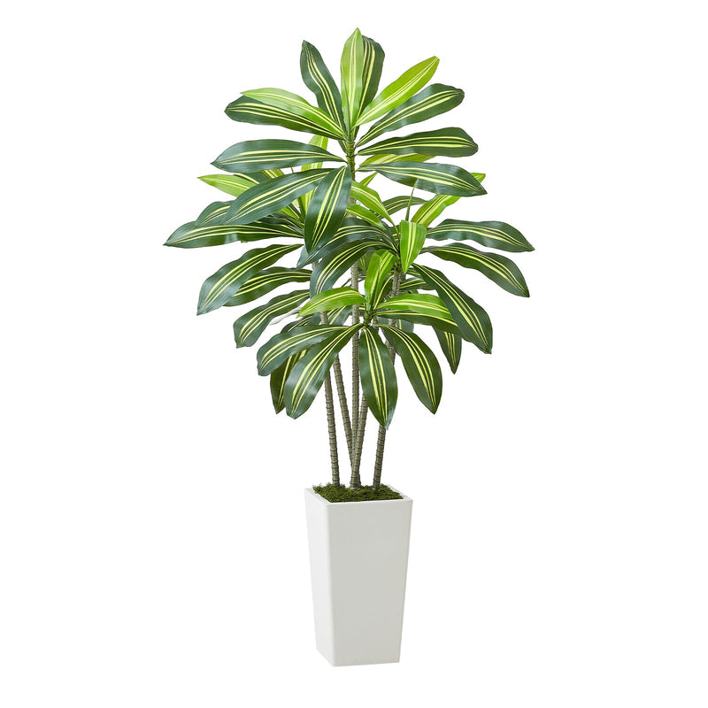 Artificial Dracaena Tree 5 ft, Fake Palm Tropical Plants with White Tall Planter, Faux Floor Silk Plant in Pot, Large Trees for Home Office Living Room Decor House Warming, Indoor Outdoor