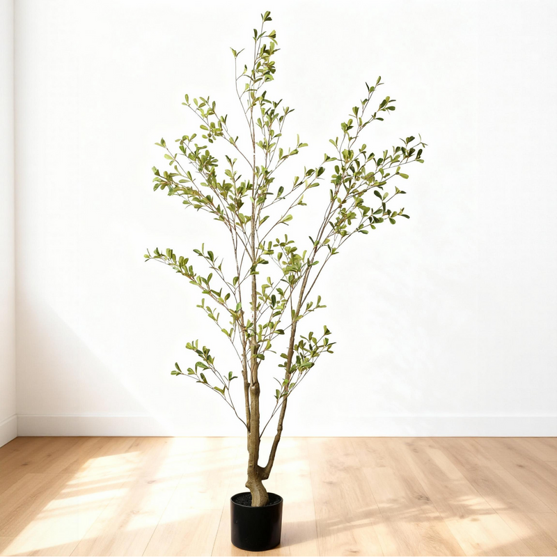 Lifelike Artificial Olive Tree with Black Plastic Pot, Faux Indoor Plant in Green Fabric Leaves, 60-Inch Tall for Home Living Room Decor