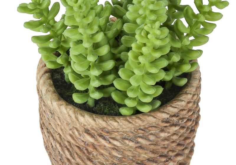 Artificial Plant, Set Of 2, 7' Tall, Succulent, Table, Brown Cement Pots, Contemporary, Modern
