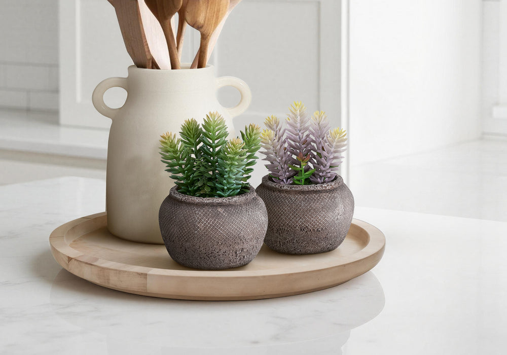 Artificial Plant, Set Of 2, 8' Tall, Succulent, Table, Brown Cement Pots, Contemporary, Modern Media 1