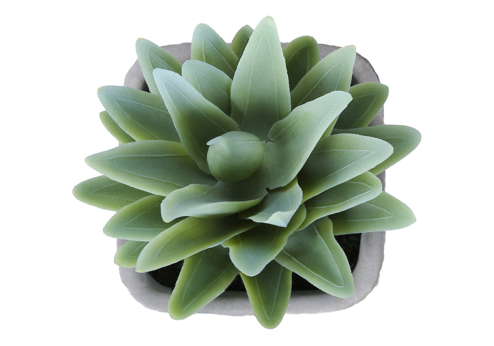 Artificial Plant, Set Of 2, 8' Tall, Succulent, Table, Grey Cement Pots, Contemporary, Modern Media 4