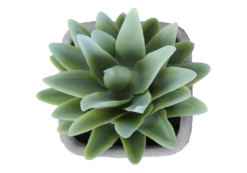 Artificial Plant, Set Of 2, 8' Tall, Succulent, Table, Grey Cement Pots, Contemporary, Modern