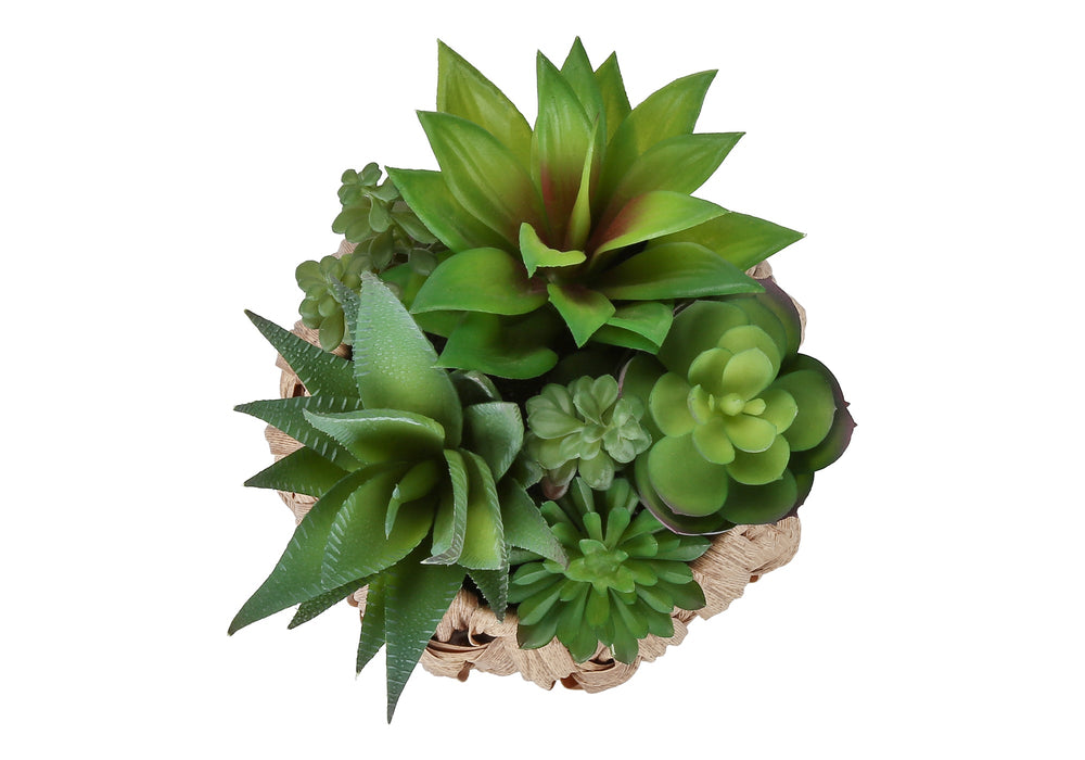 Artificial Plant, Set Of 2, 9' Tall, Succulent, Table, Brown Woven Basket, Contemporary, Modern Media 4