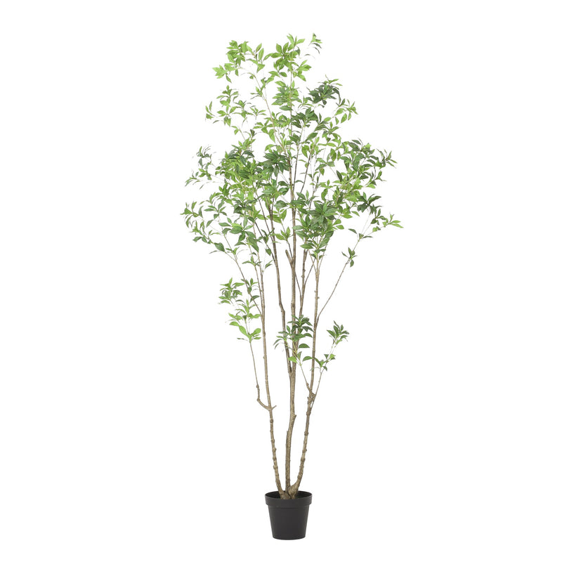 240CMARTIFICIAL PIERIS TREE