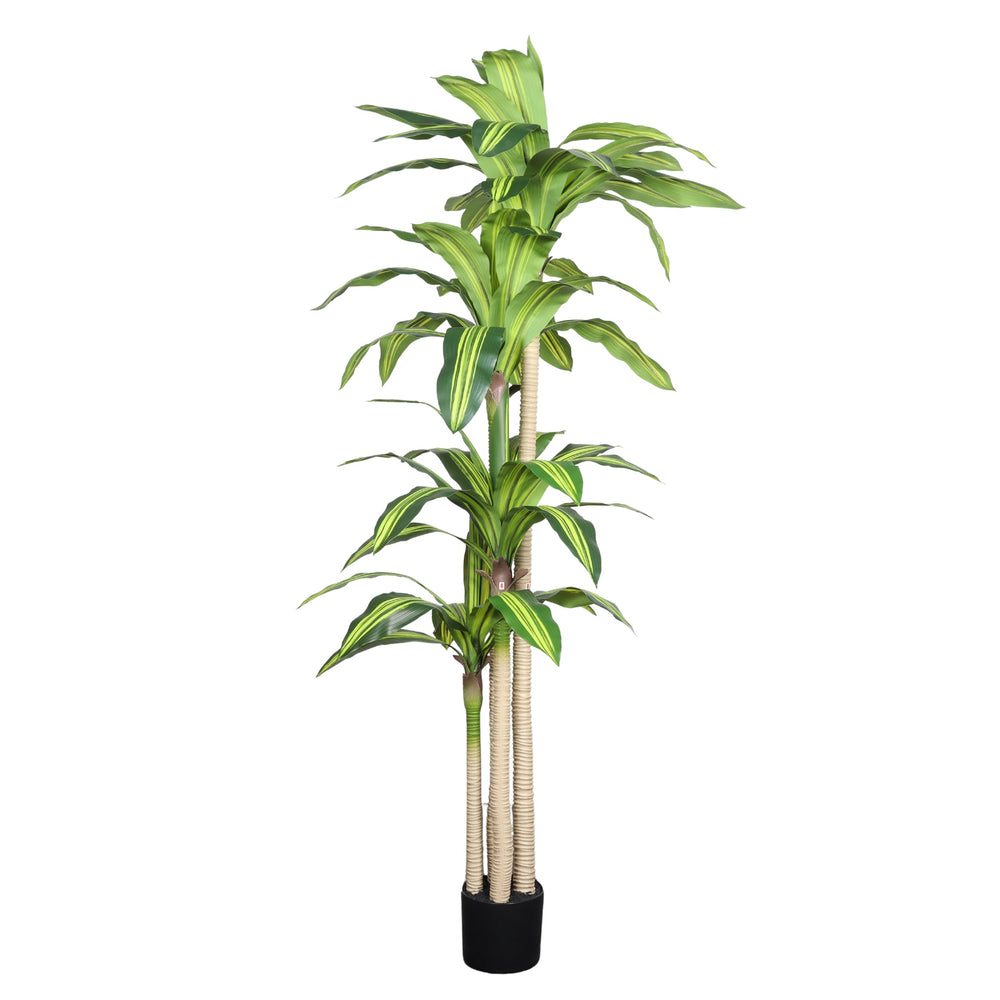 6' Artificial Dracaena Tree with Black Plastic Pot Media 4
