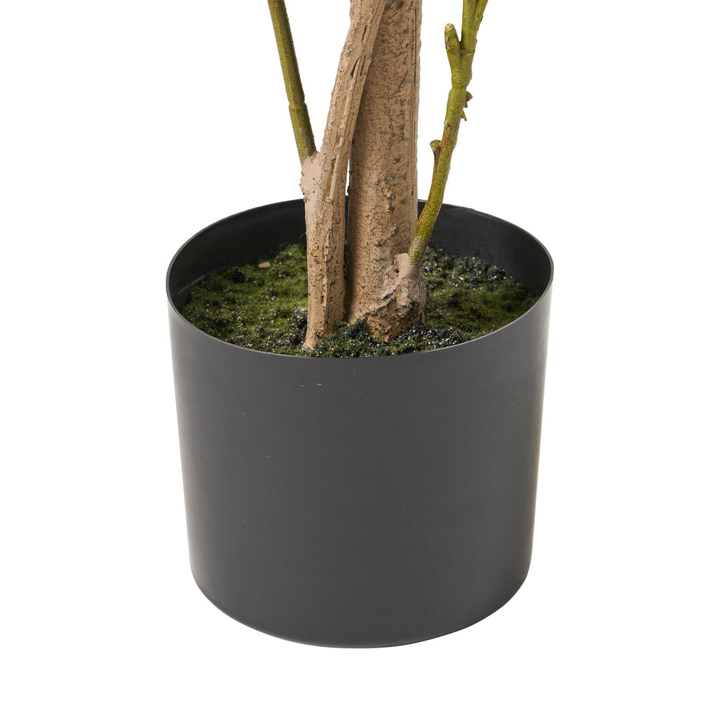 150CM ARTIFICIAL LAUREL TREE Media 6