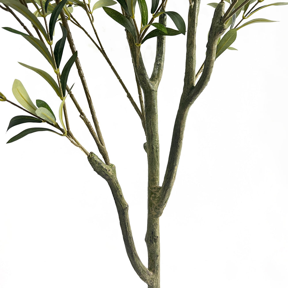 180CM ARTIFICIAL OLIVE TREE Media 7