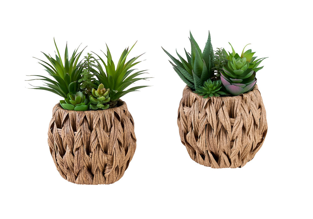 Artificial Plant, Set Of 2, 9' Tall, Succulent, Table, Brown Woven Basket, Contemporary, Modern Media 2