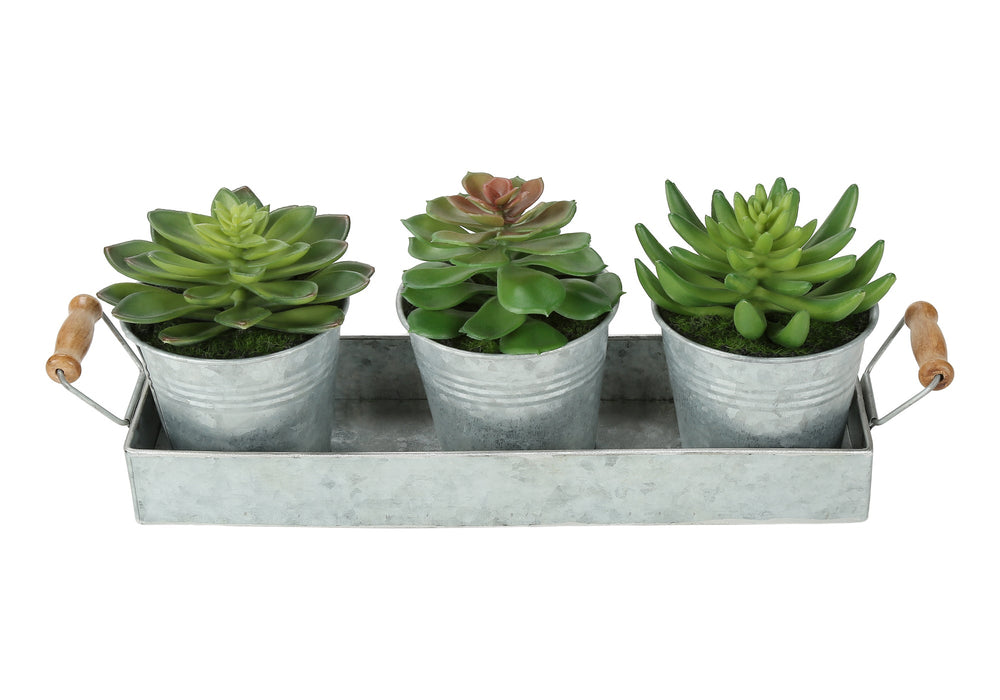 Artificial Plant, Set Of 3, 6' Tall, Succulent, Table, Silver Metal Pots, Contemporary, Modern Media 4