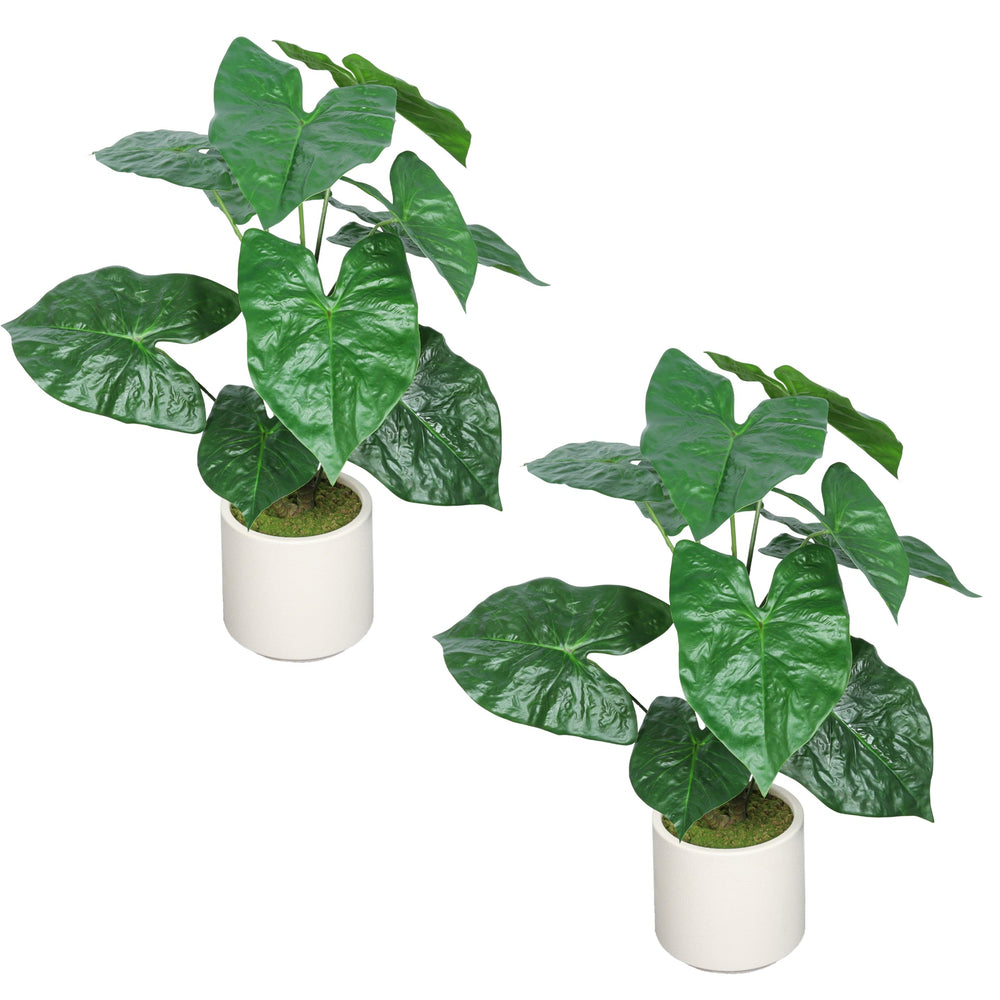 30'' Artificial Tropical Alocasia Leaf Plant With White Pot 2pc/set Media 5