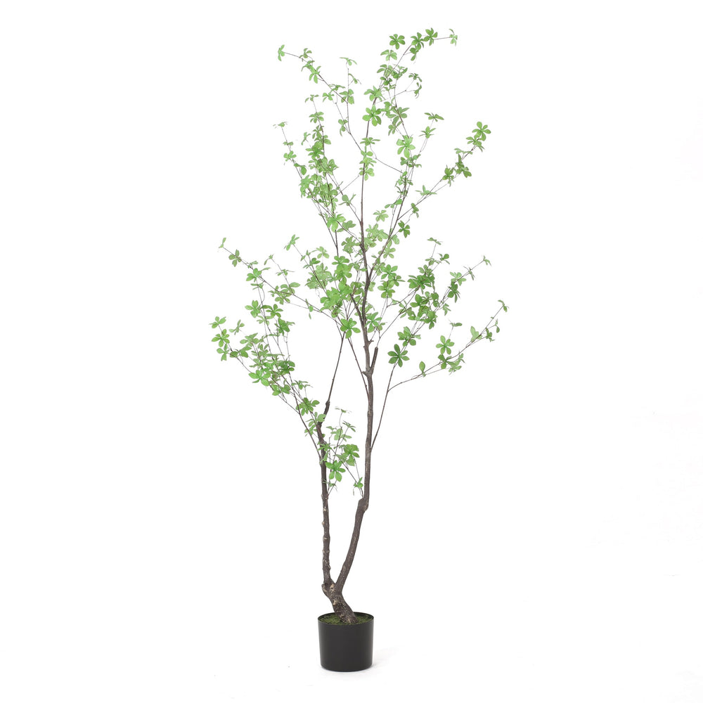 180CM ARTIFICIAL DISC LEAF TREE Media 2