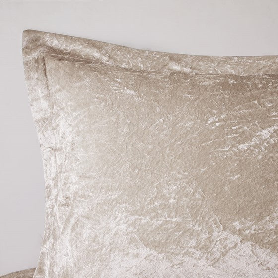 Twin/Twin XL Velvet Comforter Set with Throw Pillow Media 9