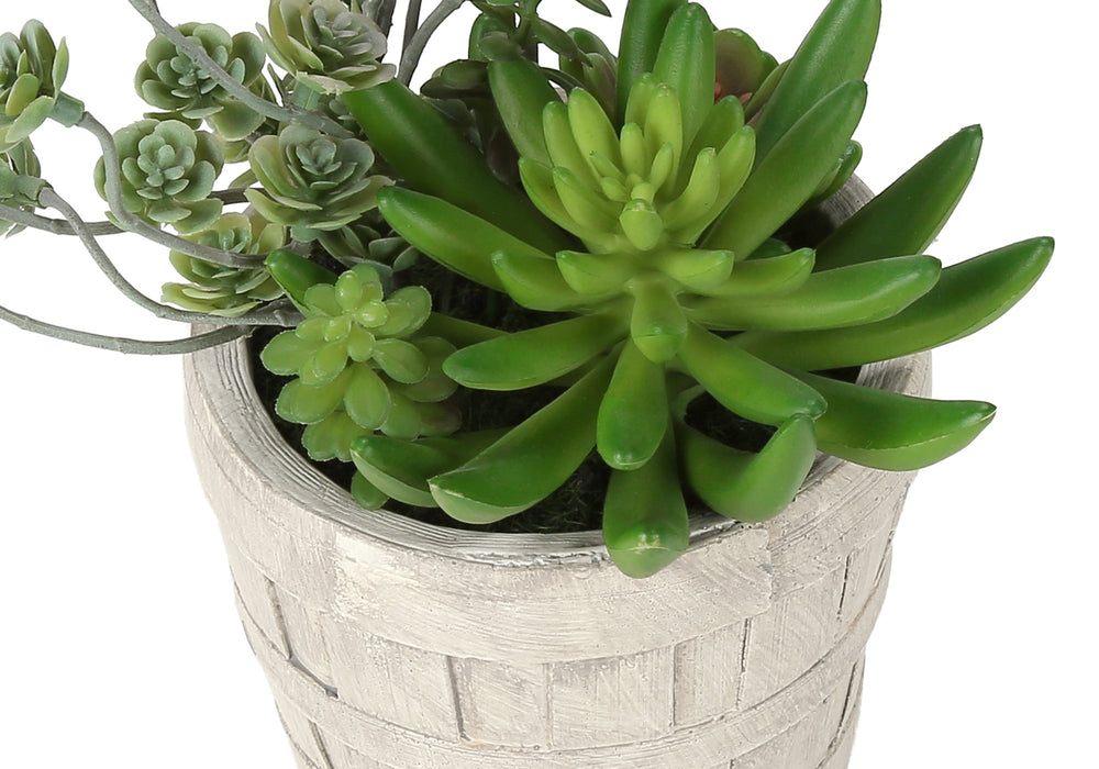 Artificial Plant, Set Of 2, 9' Tall, Succulent, Table, Beige Cement Pots, Contemporary, Modern Media 6