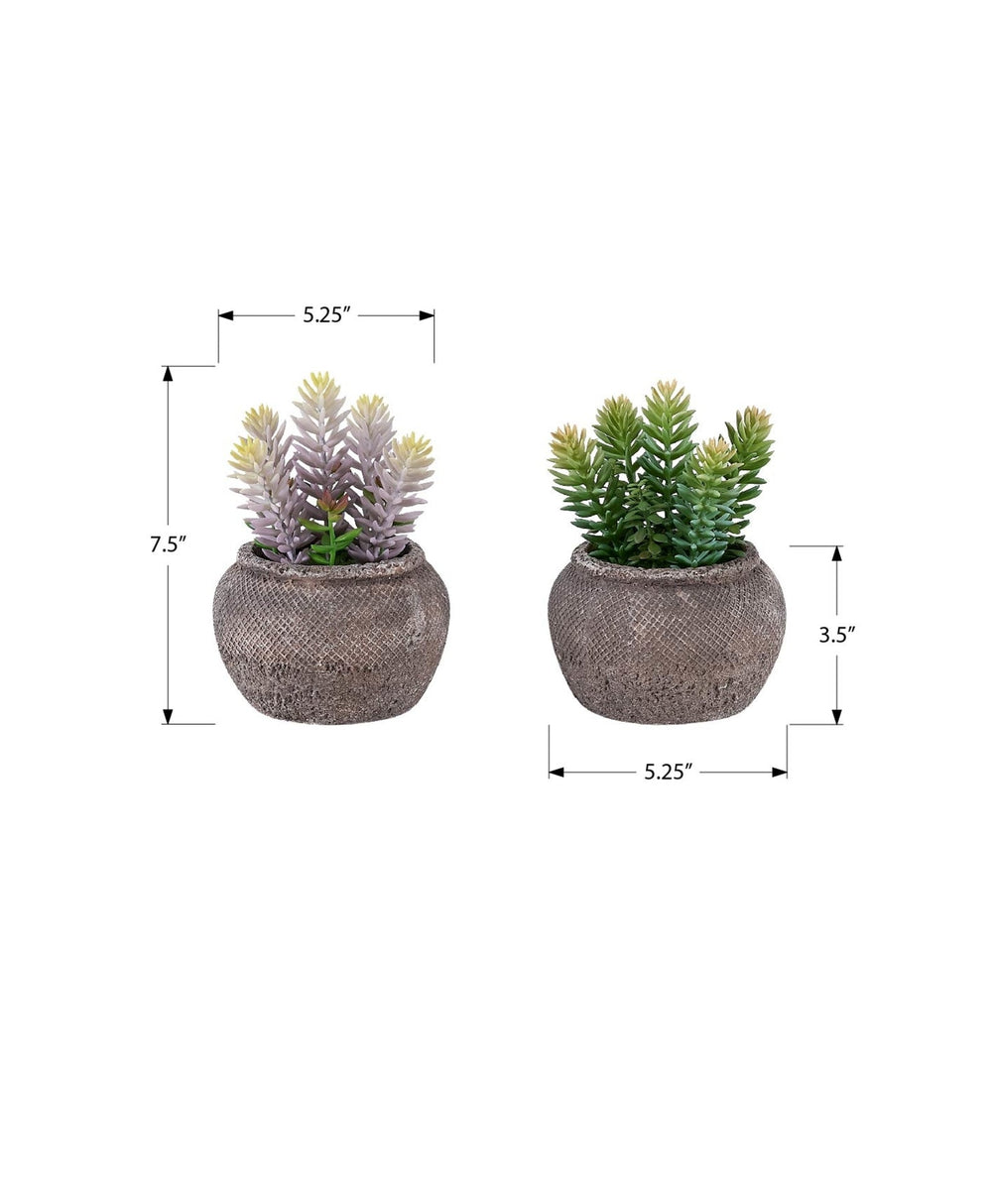 Artificial Plant, Set Of 2, 8' Tall, Succulent, Table, Brown Cement Pots, Contemporary, Modern Media 7