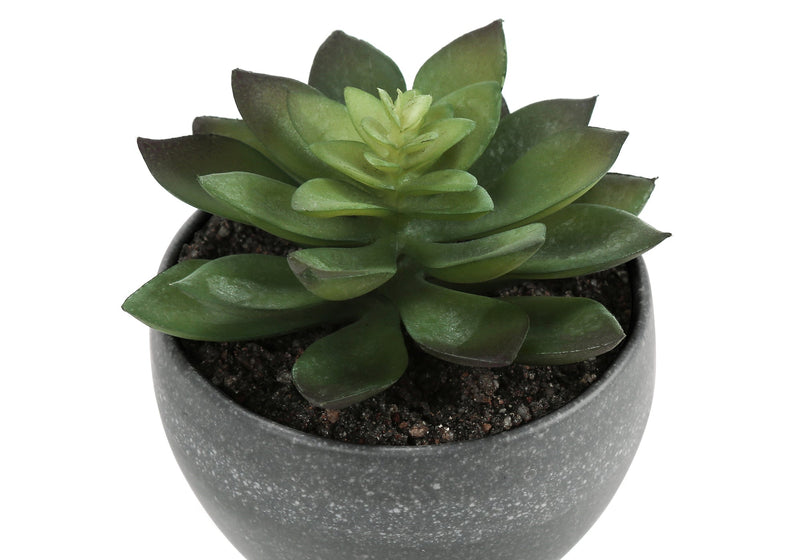 Artificial Plant, 6' Tall, Succulent, Indoor, Faux, Fake, Table, Greenery, Potted, Set Of 3, Decorative, Green Plants, Grey Cement Pots