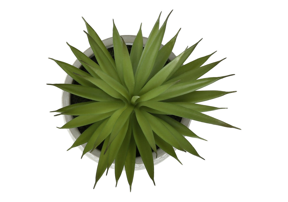 Artificial Plant, Set Of 2, 9' Tall, Succulent, White Cement Pots, Contemporary, Modern Media 3