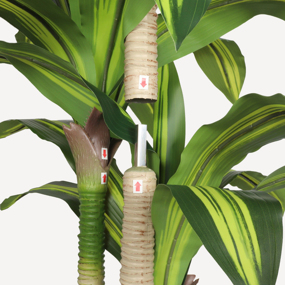 5' Artificial Dracaena Tree with Black Plastic Pot, 1pc/set Media 8