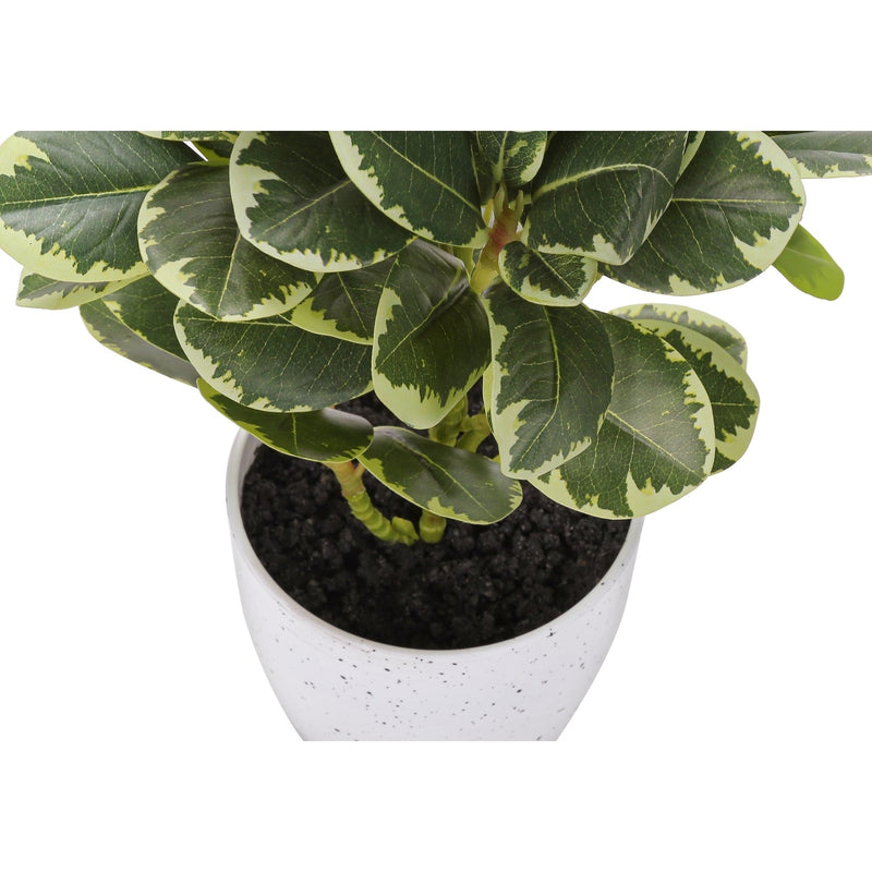 Artificial Ficus Plant Set of 2, 14 Inch Tall Indoor Decorative Table Potted Greenery with White Speckled Pots, Green Leaves, Plastic, 9x10x14 Inches